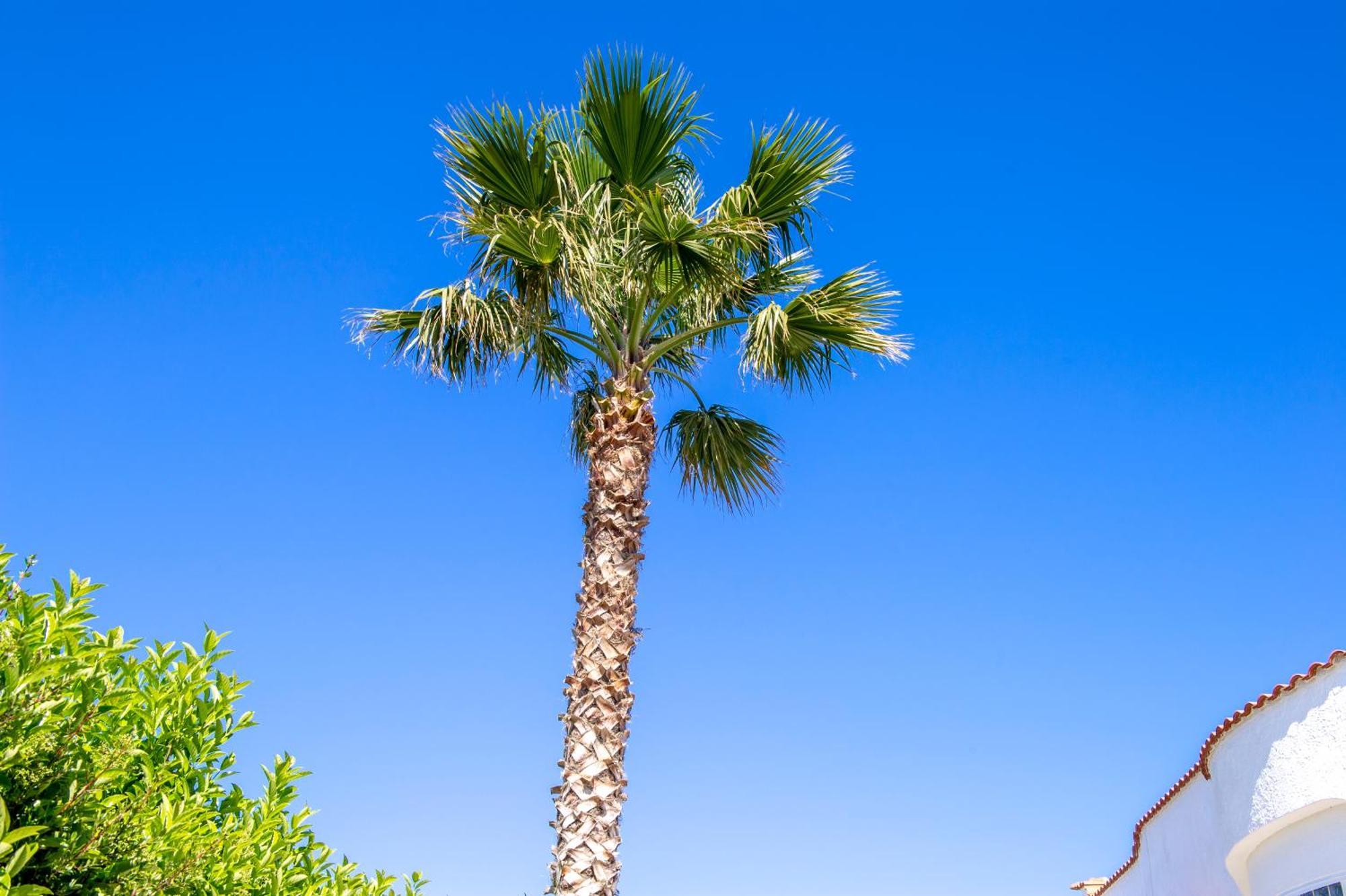 Bouganvilla Polignano a Mare Exteriör bild
